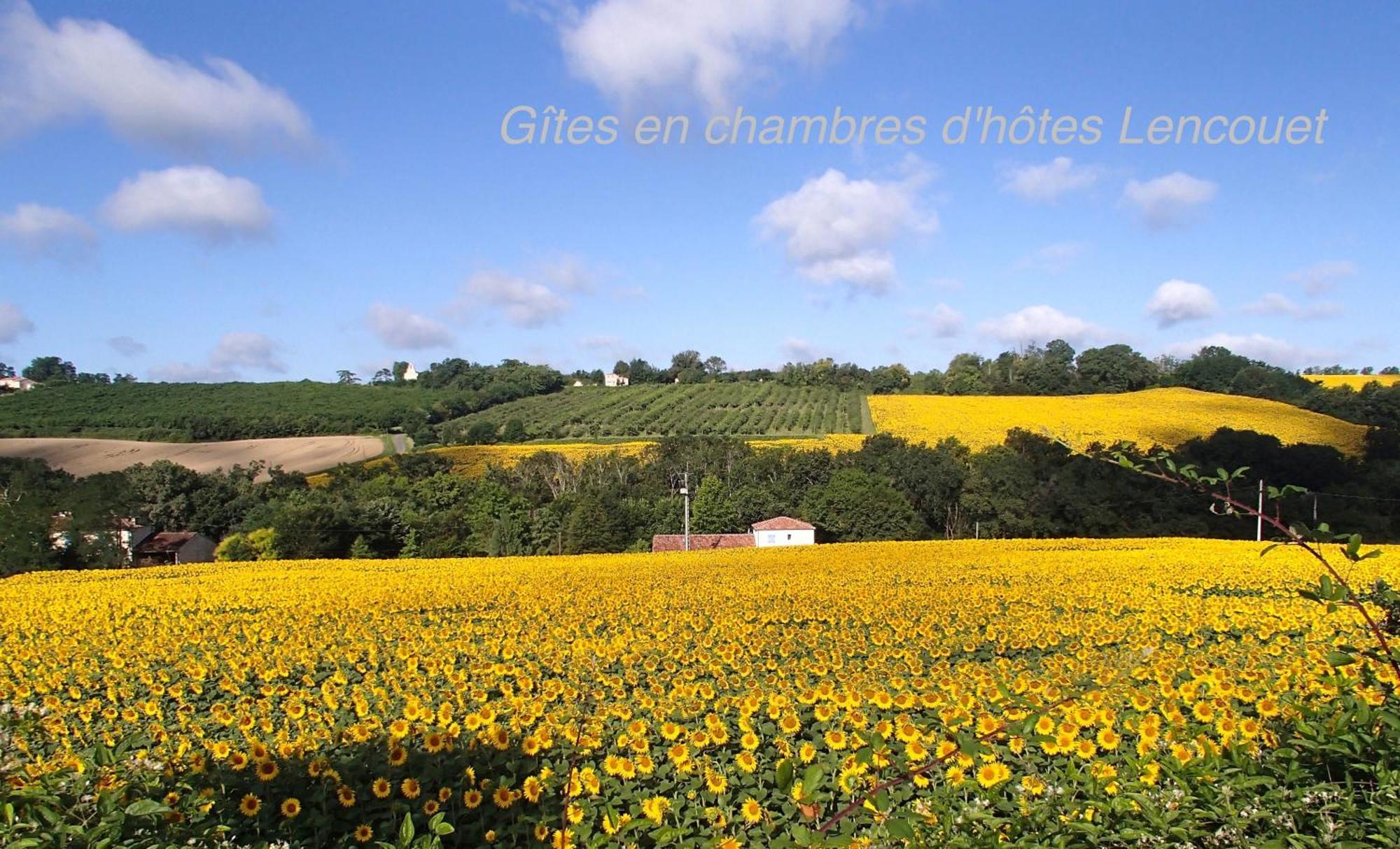Chambre D'Hotes Lencouet Feugarolles エクステリア 写真